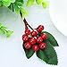 BBTO Artificial 200 Pack Holly Christmas Berries on 100 Wire Stems 8 mm Fake Berries for Christmas Tree Decorations Wreath Craft Wedding Party Favor (Red)