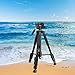 Tairoad T1-111 Tripod 55