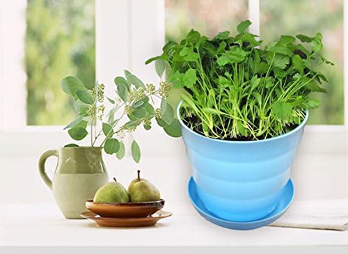 Motina 4-Pack Plastic Plant Pots 5" Round Flower Pot with Pallet for Home Office Garden Decor (Blue, White, Green,Purple)