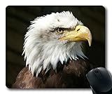 (Precision lock edge mouse pad) Bald Eagle Eagle