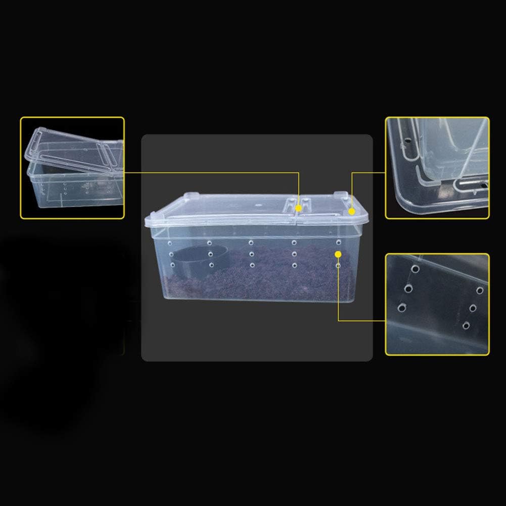 portable reptile enclosure