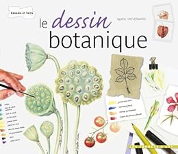 Le  dessin botanique