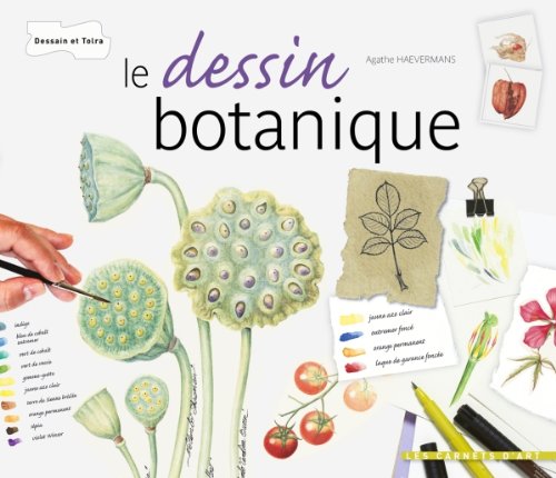 Le  dessin botanique