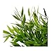 IKEA Artificial Potted Plant, House Bamboo, 11 Inch