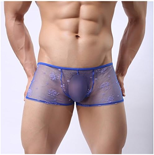 Casualfashion Ultralight Thin Embroidered Boxer Briefs for Men, See Through Mesh Temptation Men's Underwear, Soft and Breathable (XXL, 1Pcs-Blue Bee)