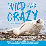 Wild and Crazy 2019 Wall Calendar by