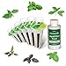 AeroGarden International Basil Seed Pod Kit (6-pod)