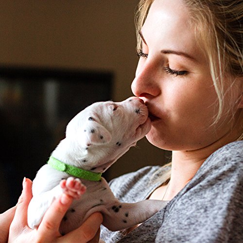 Uiuix Puppy Whelping Collars with 5 Record Keeping Charts, 15 Colors