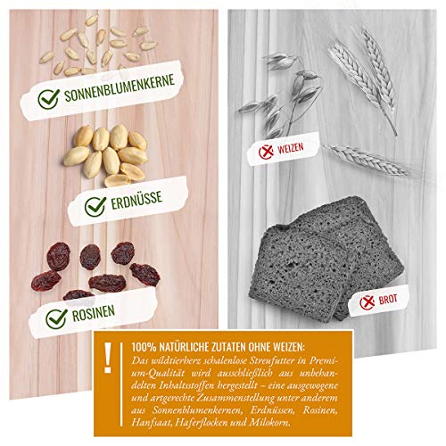 wildtier herz I Vogeltraum Schalenlos - Premium Vogelfutter, Wildvogelfutter Schalenfrei, Ganzjahresfutter mit Sonnenblumenkerne, Vogel Streufutter (5kg) – Bild 4