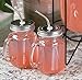 2 gallon glass drink dispenser and 2 mason jars and stainless steel spigot and fruit infuser beverage dispenser drink dispenser for parties drink dispenser with spigot