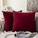 MIULEE Pack of 2 Velvet Soft Solid Decorative Square Throw Pillow Covers Christmas Cushion Cases Pillowcases for Sofa Bedroom Couch Car,18x18 Inch Wine Red