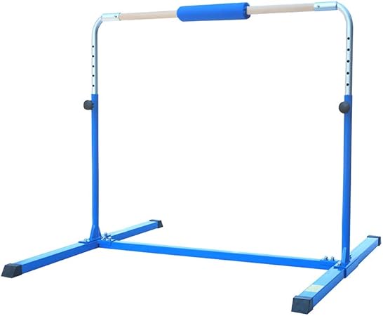 adjustable gym bar