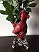 Anatomical Heart Vase, Red Finish