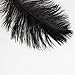 Bseash Natural Ostrich Feathers Bulk 12-14 inches (30-35cm) for Wedding Party Centerpieces, Flower Arrangement and Home Decoration (Black 50pcs)