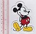 Walt Disney Mickey Mouse - W2