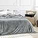 Luxury Collection Microplush Flannel Fleece Blanket | Ultra Soft 380 GSM Lightweight All-Season Anti-Static Throw/Blanket for Sofa Couch Bed (Queen (78'' x 90''), Gray)