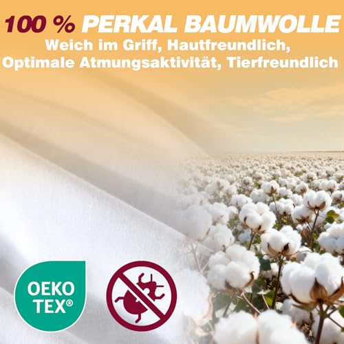 BedFabtasy Feather and Down Duvet 135 x 200 cm, Oeko-Tex Certified Duvet 135 x 200 cm, 100% Extra Soft Feathers and Down, Allergy Sufferers, RDS Certified Feather Duvet, Duvet, All-Year Duvet