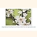 Kisstaker Cross Stitch DIY Handmade Needlework Set Embroidery Kit Precise Printed Cross-Stitching Set Home Decoration