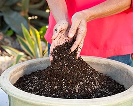 SAPRETAILER Organic Cocopeat Peat Moss for Organic Gardening 10Kg