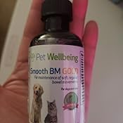 smooth bm gold for cats