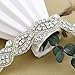 QueenDream 1 Yard Rhinestone Bodice Applique- Silver Width: 0.4 Inches