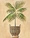 wallsthatspeak 6 Tropical Palm Tree Art Prints Beachy Feel Home Decor