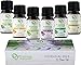 Aromatherapy Essential Oils Gift Set - Pure Natural Essential Oil for Diffusers Humidifiers & Carrier Oils Tea Tree Orange Eucalyptus Lavender Peppermint & Lemongrass 10 ml each Therapeutic Grade