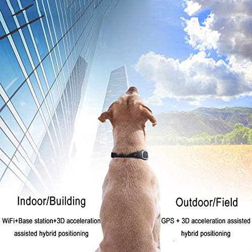 dog pedometer amazon