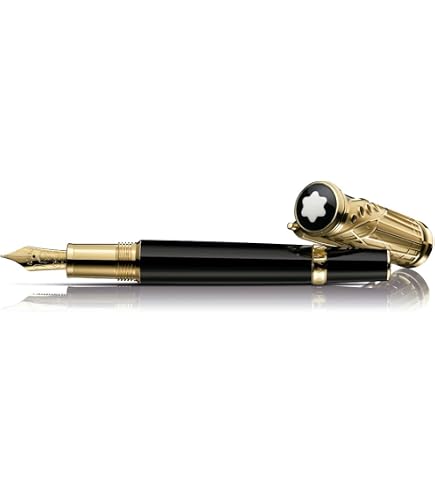 Amazon.com: Montblanc Fountain Pen - Limited Edition 4810 - Patron