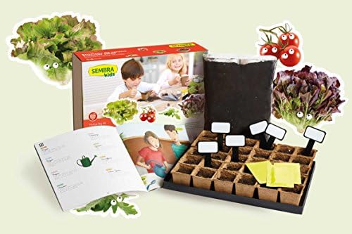 SEMBRA - juego educativo, Kit huerto Ensalada de verano: Amazon.es ...
