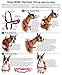 PetSafe Easy Walk Harness,  Petite, ROYAL BLUE/NAVY BLUE for Dogs
