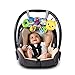 Baby Einstein Travel-Pillar Discovery Toy Bar Car Seat and Stroller