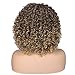 Quick Wig Afro Curly Wigs Short Kinky Curly Full Wigs with Bangs Ombre Brown Mixed Light Brown Synthetic Heat Resistant African Wigs for Black Women