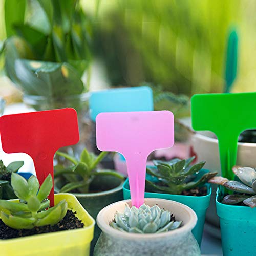 G-LEAF Succulent Plant Pot, Ceramic Cactus Planter Small Flower Pots, Chinese Style Decor Herb Plant Holder for Indoor Outdoor Home Garden Office Plant Container, (6, Coloful)