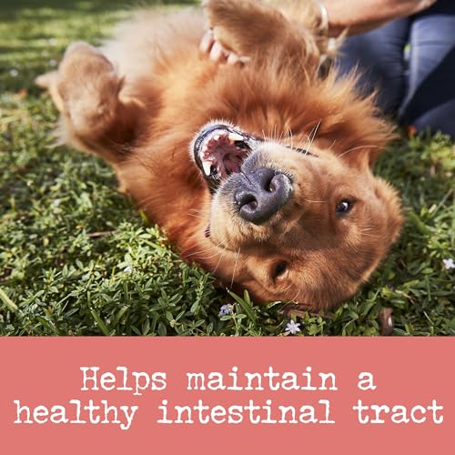 EVERROOT ORGANIC DOG SUPPLEMENT BY PURINA, DIGESTION LIQUID PACK WITH PUMPKIN FOR DOGS – 14 CT. BOX