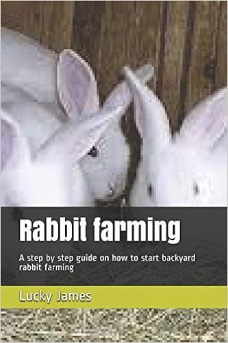 Rabbit Farming A Step By Step Guide On How To Start Backyard