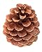 Natural Ponderosa Pine Cones Christmas Ornaments Decorations 3 to 3.5