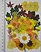 UOKWIWI 44 pcs Yellow Viola,Hydrangea,Maple Leaf,Sanvitalia Real Pressed Dried Flowers