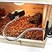 OMAYKEY Reptile Lamp Fixture Holder Clamp, Upgraded Lengthened Adjustable Stand and Socket - for Pet Brooder Coop Chicken Lizard Turtle Snake Aquarium Habitat Heat Lamps & Light Bulb - Black