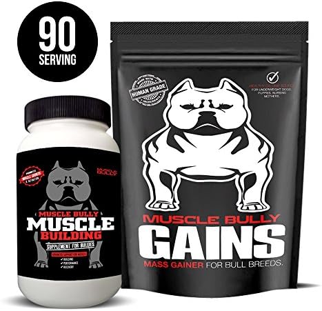 Muscle Builder Supplement (120 Serving) and Muscle Bully Gains (90 Serving) Combo Pack