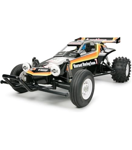 Amazon.com: TAMIYA Holiday Buggy Kit 2010 DT02 TAM58470A Cars Elec