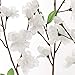 Larskilk White Cherry Blossom Branches – Set of 3, 36-Inch Real Touch Artificial Flowers – Faux Floral Stems for Vases, Wedding Décor, Events & Home Arrangements – Japan’s National Flower