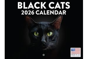 POSTER FOUNDRY Black Cat Calendar 2026 Monthly Wall Calender 12 Month | American Made In The USA