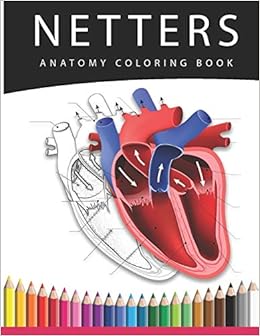 Download Amazon Com Netters Anatomy Coloring Book A Heart Anatomy And Physiology Coloring Books For Adults Workbook Gift For Medical Students Nurses And Anatomy Lovers 9798584437114 Design Bruch Brayan David Books