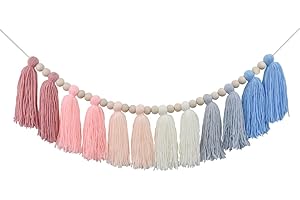 DRCOR DREAMING DECOR DrCor Pink and Blue Yarn Tassel Garland Preppy Boho Bunting Banner Wall Hanging Decor for Classroom Back to School Nursery Party Kids Bedroom Baby Shower Decoration