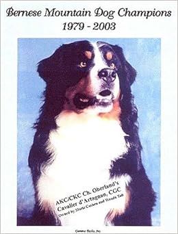 champion bernese mountain dog