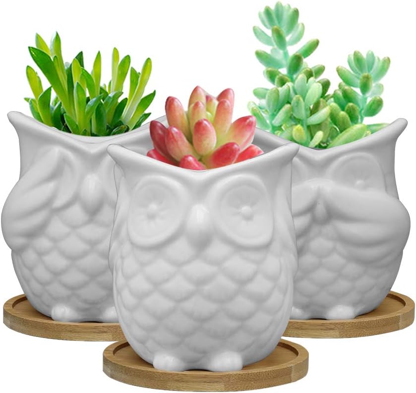 SQOWL 3.3 inch White Owl Succulent Planter Set Modern Ceramic Herb Cactus Planter Pots Indoor or Outdoor with Bamboo Tray for Owl Lovers,Pack of 3