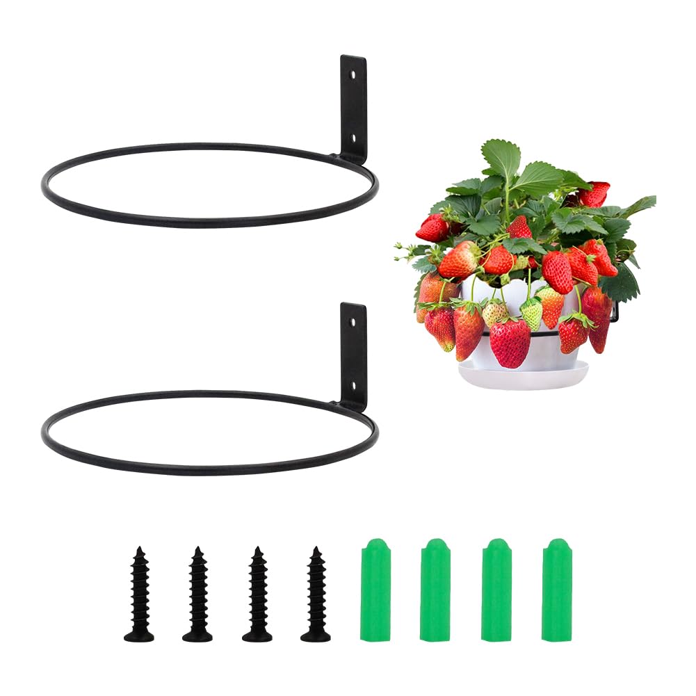 2Pcs Flower Pot Holder Planter, Black Ring Wall Mounted Plant Hook Hanging Plant Stand Ring Hooks Metal Plant Bracket for Indoor/Outdoor Garden Home Decoration Fence Balcony, Set of 2 (8 Inch)