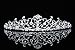 Flower Vine Design Bridal Tiara Crown - Clear Crystals Silver Plating T654