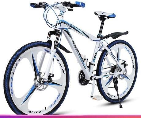 kickstand for mountain bike with disc brakes